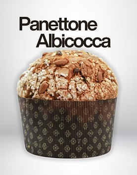 Panettone Albicocca