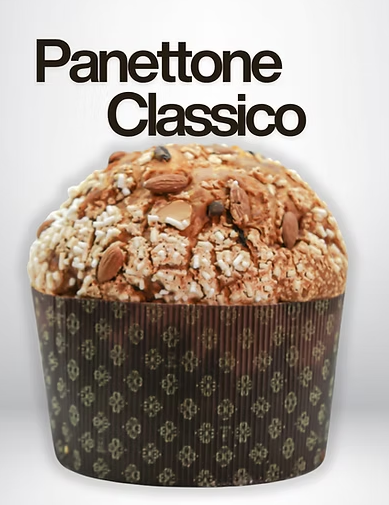 Panettone Classico 1kg