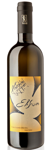 Veneto bianco passito Elisium IGT